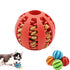 Dog Ball Toys for Small Dogs