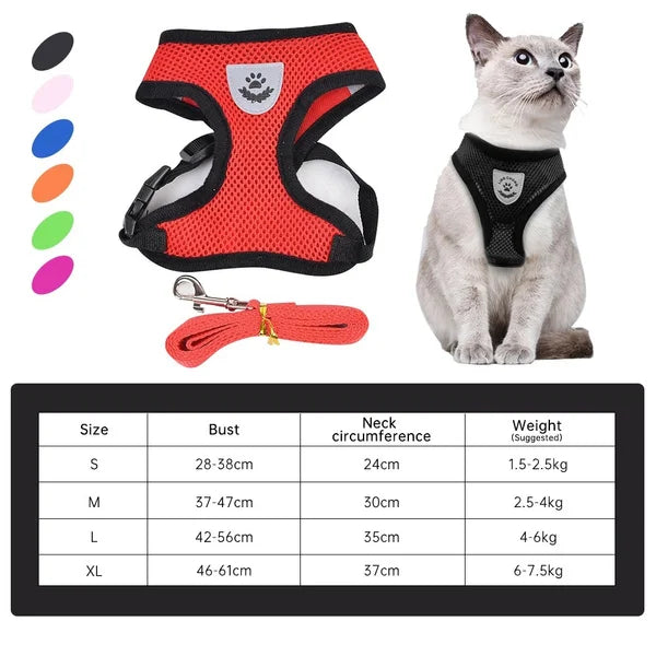 Adjustable Mesh Harness and Leash Set